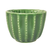 Barrel Cactus Cup Small