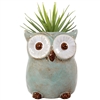 Ceramic owl vase or planter.